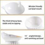 Ceramic Raised Cat Bowl，Tilted Raised Bowl Anti Vomit Bowls for Indoor Cats Whisker Friendly Pet Feeder for Cats Puppies, Microwave and Dishwasher Safe