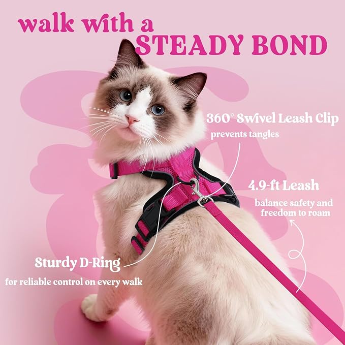 rabbitgoo Cat Harness and Leash Set, Escape Proof Vest, Rose Red | Soft Breathable Mesh, Easy Adjustable Fit, Snap Buckles, Sturdy Clip, Reflective Strips, for Average Cats Walks, S