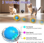 Giociv Interactive Cat Toys Ball Fast Rolling in Pouch, Motion Activate Chirping Cat Toy Hide and Seek Mouse Catching Game (Blue)