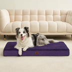 EHEYCIGA Orthopedic Dog Bed Medium with Removable Washable Cover,30x20 | Egg Crate Foam Support,Durable Oxford fabric,Non-Slip Bottom,Machine Washable,Soft Waterproof Plush Pet Bed Mat For Crate