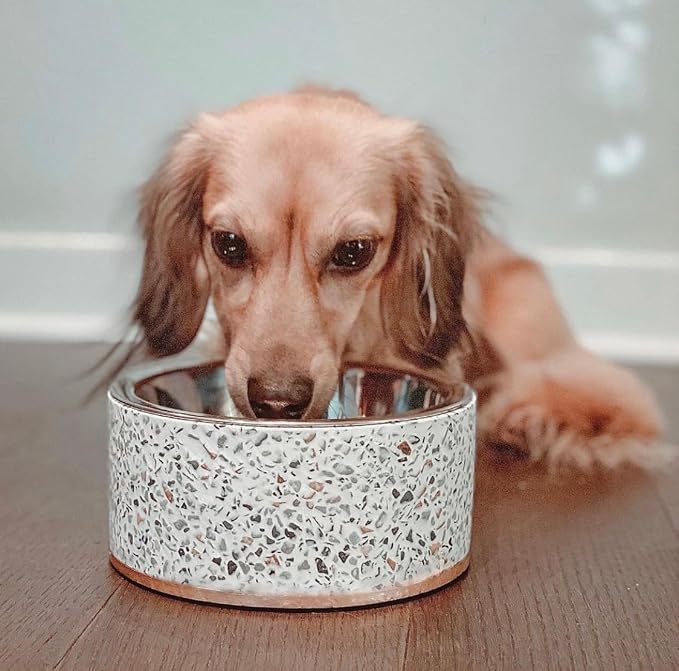 Terrazzo Single Elevated Pet Bowl Stand, Small, White | Removable Stainless Steel 16oz Inner Bowl, For Small Dog Breed or Cat, Raised Food or Water Station