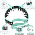 Mayerzon Martingale No Pull Collar for Medium Large Dogs | Teal, M | Patented Anti Pull Dog Collar with Buckle for Walking Training, Reflective Stitching, Neoprene Padding, Adjustable, Sturdy