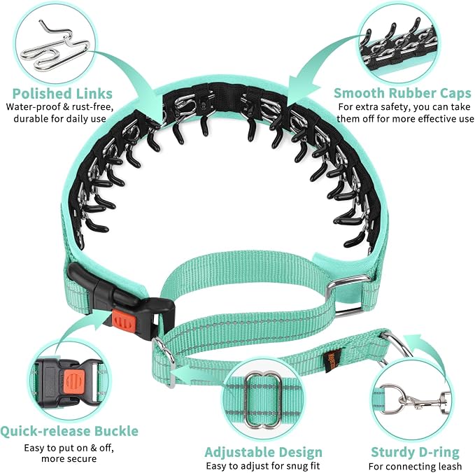 Mayerzon Martingale No Pull Collar for Medium Large Dogs | Teal, M | Patented Anti Pull Dog Collar with Buckle for Walking Training, Reflective Stitching, Neoprene Padding, Adjustable, Sturdy
