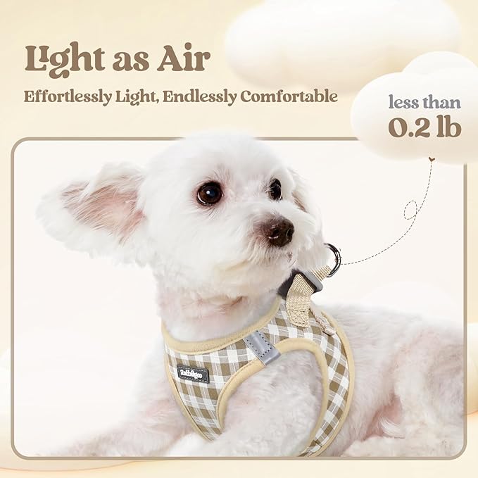 rabbitgoo Dog Harness Small Sized and Leash Set, Step-in Puppy Pet Vest | Light, Soft, Breathable Air Mesh, Easy on and Remove with Hook & Loop, Secure Reflective for Walking, Beige Check S