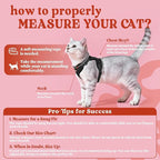 rabbitgoo Cat Harness and Leash Set, Escape Proof Vest, Black | Soft Breathable Mesh, Easy Adjustable Fit, Snap Buckles, Sturdy Clip, Reflective Strips, for Kittens & Small Cats Walks, Xxs