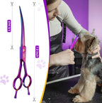 JASON Curved Dog Grooming Scissors - 7" Down-Curved Trimming Shears Purple | Professional Shear with Ergonomic Handle Japanese Stainless Steel, for Dogs, Cats and Other Pets, Sharp, Gift