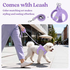 rabbitgoo Dog Harness Small Sized and Leash Set, Step-in Puppy Pet Vest | Light, Soft, Breathable Air Mesh, Easy on and Remove with Hook & Loop, Secure Reflective for Walking, Light Purple XXXS