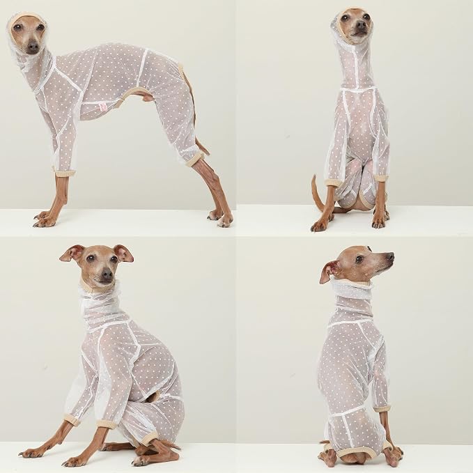 D Doggy Star Italian Greyhound Clothes Sheer Mesh Onesie Summer Jumpsuit Breathable Full Body Protection for Outdoor Walks Small Whippet Fit (M,Sheer Mesh White)