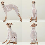 D Doggy Star Italian Greyhound Clothes Sheer Mesh Onesie Summer Jumpsuit Breathable Full Body Protection for Outdoor Walks Small Whippet Fit (S,Sheer Mesh White)