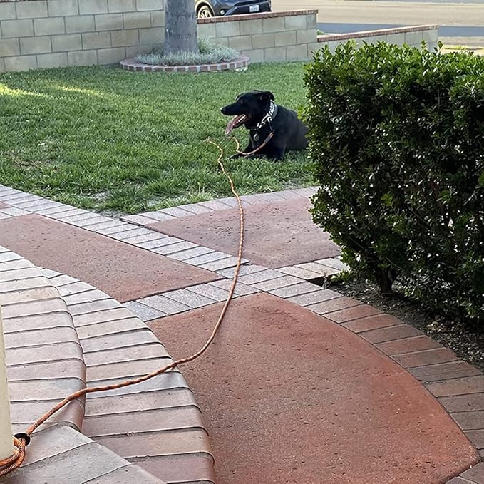 BTINESFUL Dog Tie Out Long Tether Rope Dog Lead for Yard 8/12/20/30/50/75ft | Check Cord Training Dog Line for Large Medium Small Dogs Outdoor Playing, Camping, or Backyard (12ft, Orange Black)