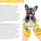 LEGITPET Oatmeal Dog Shampoo & Conditioner Itch & Allergy Relief with Honey & Aloe Hypoallergenic Gentle Calming Formula for Sensitive Skin & Dandruff Safe for Puppies Best for All Breeds 2 x 16oz
