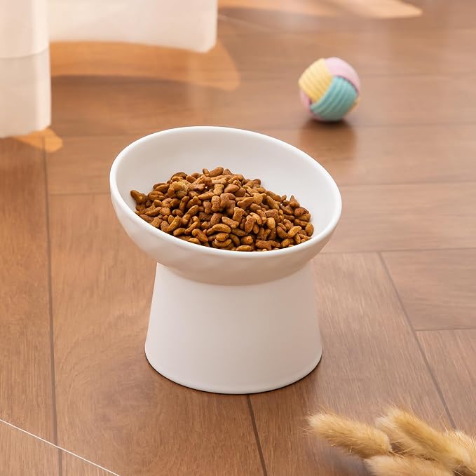 Ceramic Raised Cat Bowls - Elevated Tilted Cat Food and Water Bowls Set, Anti Vomiting and Protect Pets' Spines Pet Feeding Dish for Cats, Dishwasher Microwave Safe (2 x Bowl - White)