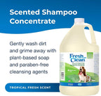 PetAg Fresh ’n Clean Oatmeal ’n Baking Soda Shampoo - Tropical Fresh Scent (10:1 Concentrate) - 1 Gallon - Nurtures Dry, Itchy Skin with Vitamin E & Aloe - Strengthens & Repairs - Soap Free