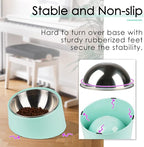 SuperDesign Mess Free 15° Slanted Bowl for Dogs and Cats, Tilted Angle Bulldog Bowl Dog Feeder, Non-Skid & Non-Spill, Easier to Reach Food S/0.5 Cup Teal