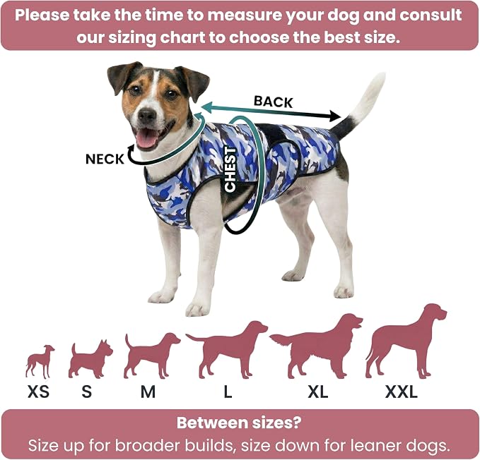Dog Cooling Vest, 2-Layer Microfiber Cooling Jacket, Blue, XL | Longer cooling duration, balanced comfort, UV protection, soft double-layer microfiber fabric, sizes to suit most dogs