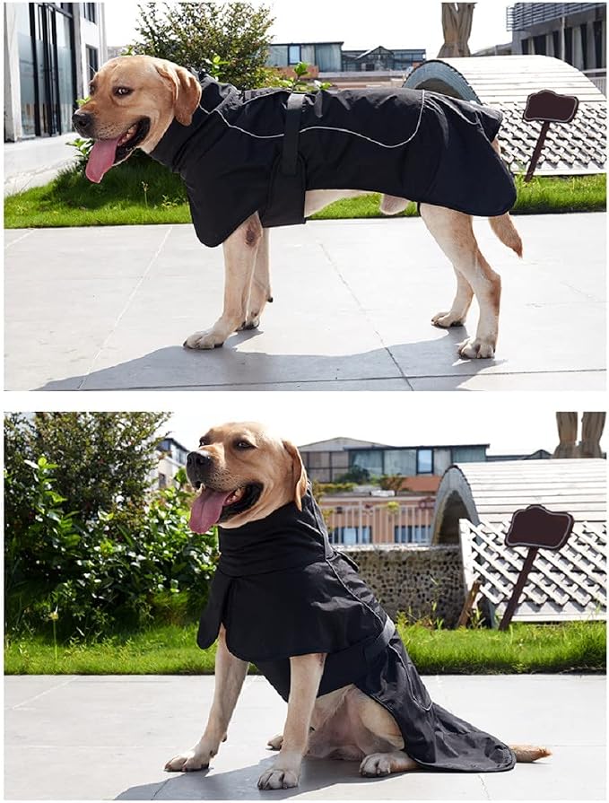 Black M Dog Raincoat - Waterproof Winter Jacket with Velvet Inner, Reflective Strip
