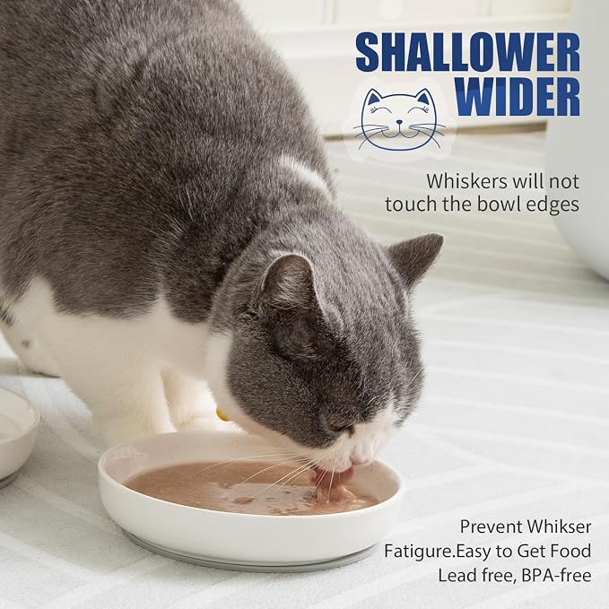 Lusifaco Shallow Wide Cat Food Bowls Anti Whisker Fatigue (Green, 3 Pack) | 5.9 Inch 2 Height Raised Ceramic Cat Dishes with Bamboo Stand, Flat Pet Water Food Plates Feeding Station for Indoor Kitten