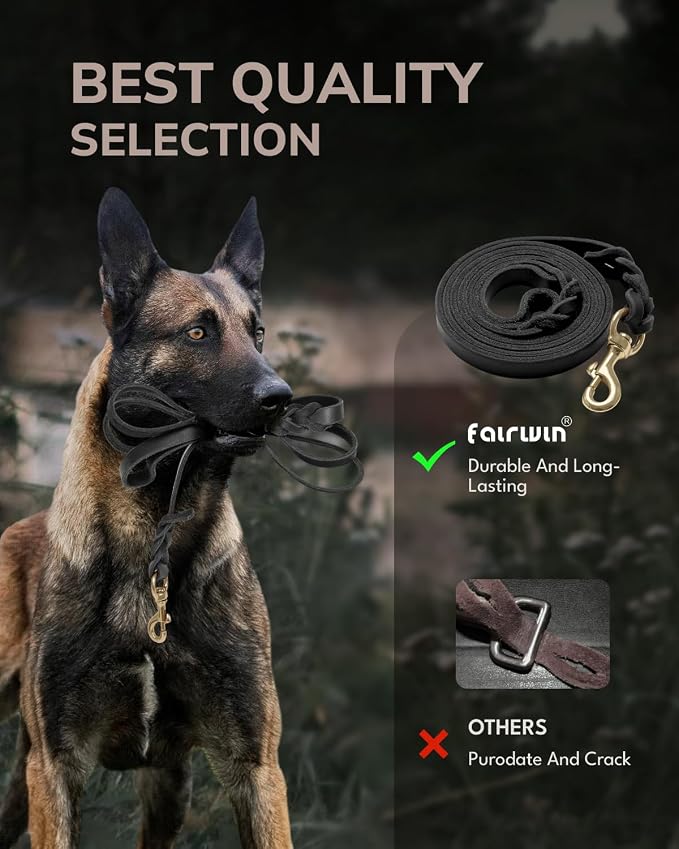 FAIRWIN Leather Dog Leash 6 Foot - Braided Military Grade Heavy Duty Dog Leash for Large Medium Small Dogs Training and Walking (Black, M:5/8" x 6ft)