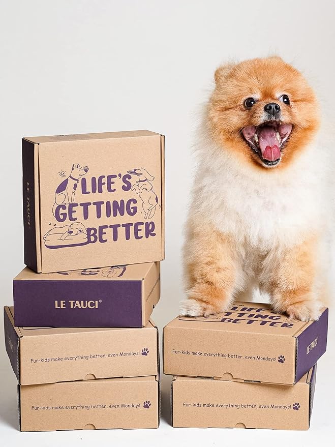 LE TAUCI Ceramic Slow Feeder Dog Bowls Small Breed, 0.6 Cups Dog Food Dish for Fast Eaters, Puzzle Bowl for Small Dogs and Cats,Purple