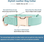 Soft Leather Dog Collar and Leash (6.6') Set - Stylish Rose Gold Heavy Duty Metal Buckle, 4 Adjustable Lengths Leash for Small Medium Large Dogs - Comfortable & Easy to Clean Mint Green S(12.2"-16.9")