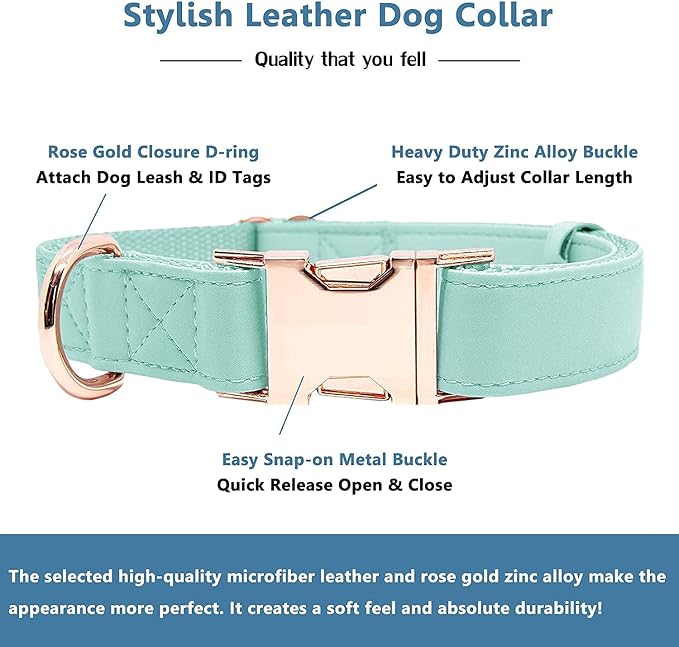 Soft Leather Dog Collar and Leash (6.6') Set - Stylish Rose Gold Heavy Duty Metal Buckle, 4 Adjustable Lengths Leash for Small Medium Large Dogs - Comfortable & Easy to Clean Mint Green M(13.8"-19.7")