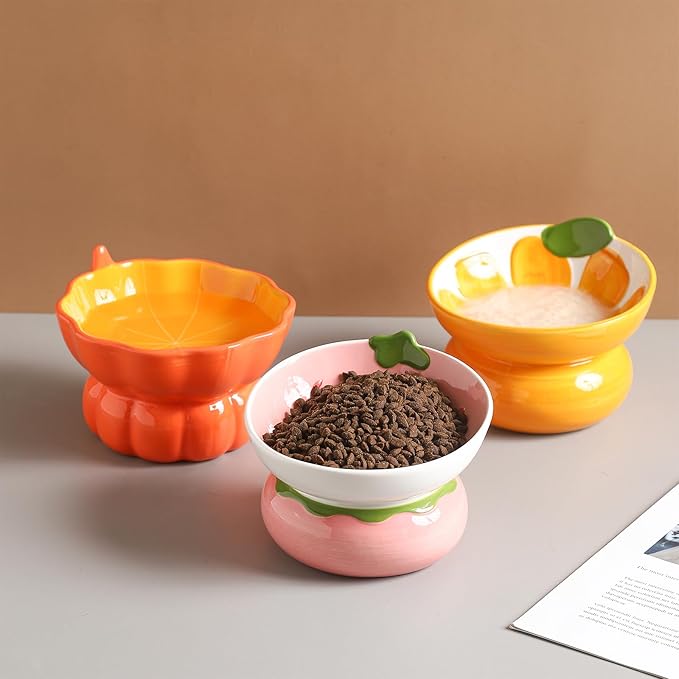 Cute Pumpkin Shaped Raised Ceramic Cat Water Bowl, 9 oz | Whisker Friendly, Anti Vomiting, Elevated Design, Indoor Cats