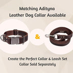 ADITYNA Leather Dog Leash for Large & Extra-Large Dogs, 6ft x 1" | Soft yet strong leather leash for walking, training, hiking — great for Great Dane, Rottweiler, Cane Corso, Mastiff.