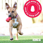 KONG Senior - Dog Toy with Gentle, Natural Rubber - Durable Dog Toy for Older Dogs - Use Treats with Stuffable Chew Toy - Treat Toy for Chewing & Fetching - for Medium Dogs (Pack of 2)