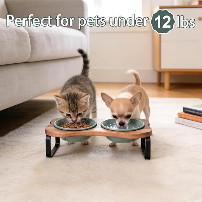 SPUNKYJUNKY Ceramic Elevated Tilted Dog Bowls Bone-Shaped Raised with 2 Height Iron Stand, 4.9'' Dog and Cat Food Water Bowls Set Non-Slip for Puppy Kitten Small Sized Breed - 7 OZ,Dark Green