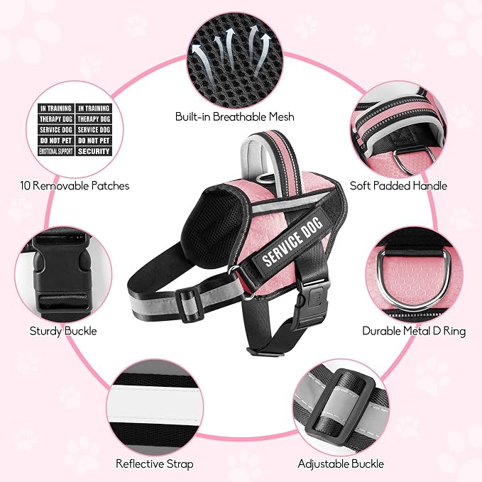 Service Dog Vest Harness and Leash Set, Animire in Training Dog Harness with 10 Dog Patches, Reflective Dog Leash with Soft Padded Handle for Small, Medium, Large, and Extra-Large Dogs (Pink,XS)