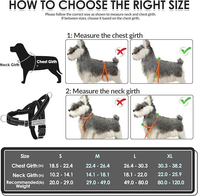 SlowTon No Pull Dog Harness - Heavy Duty Dog Harness and Leash Set for Medium Large Dogs, Reflective Tactical Harness with Soft Padded and Front Clip for Easy Walk and Training (B, S)