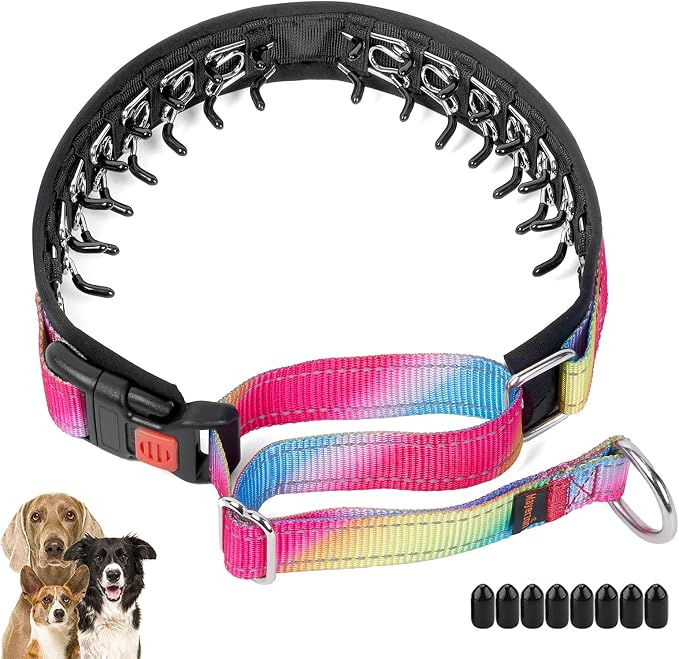 Mayerzon Martingale Prong Collar for Dogs, Patented No Pull Pinch Collar | Anti Pull Dog Collar with Buckle for Large Breed Dogs, For Training Walking Hunting, Adjustable and Heavy Duty (Rainbow, XL)