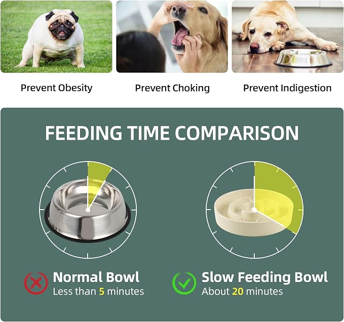 Havniva Elevated Slow Feeder Dog Bowls, Ceramic Dog Bowl Slow Feeder Set | 1.6 Cups Raised Slow Feeding Bowl for Medium Breed, 7.3” Dog Water Bowl with Wooden Stand, Puzzle Dog Slow Feeder, Non-slip