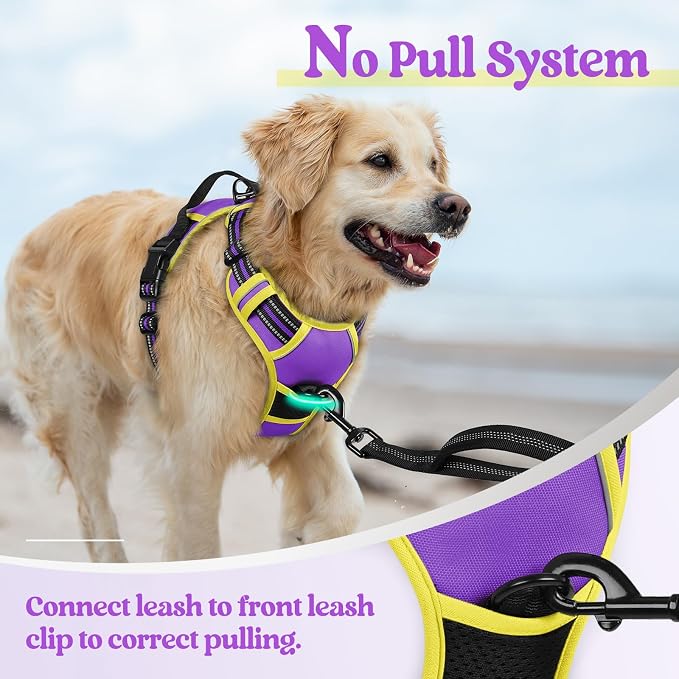 rabbitgoo Dog Harness, No Pull Medium Sized with 2 Leash Clips, Pet Vest | No Choke with Handle, Adjustable Soft Padded, Reflective, Easy Control for Walking, Purple & Yellow, Medium