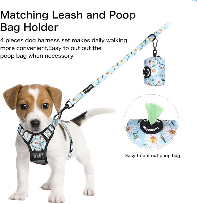 Petmolico No Pull Dog Harness Set with Leash Attachment Easy Control Handle Reflective Harness Vest Small Breed, Puppy Vest and Leash Set with Poop Bag Holder, Medium - Daisy