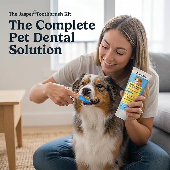 Jasper Dog Tooth Brushing Kit and Dog Toothpaste (Chicken) Kit 360 | Vet Approved Pet Tooth Paste & ToothBrush, Freshens Breath, Whitens Teeth, Plaque and Tartar Remover for Teeth