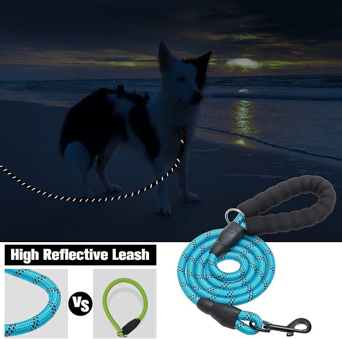 BEAUTYZOO Heavy Duty Rope Dog Leash 6 Pack, 6FT Nylon Pet Leash with Reflective Thread, Soft Padded Handle Thick Lead Leash for Large Medium Dogs Small Puppy, 1/2inch X 6 FT (18~120 lbs)