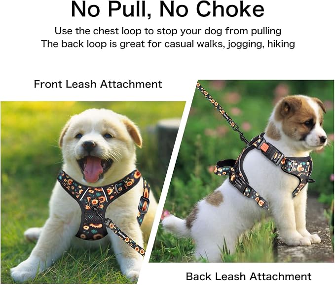 Petmolico No Pull Dog Harness Set with Leash Attachment Easy Control Handle Reflective Harness Vest Small Breed, Puppy Vest and Leash Set with Poop Bag Holder, Medium - Sunflower