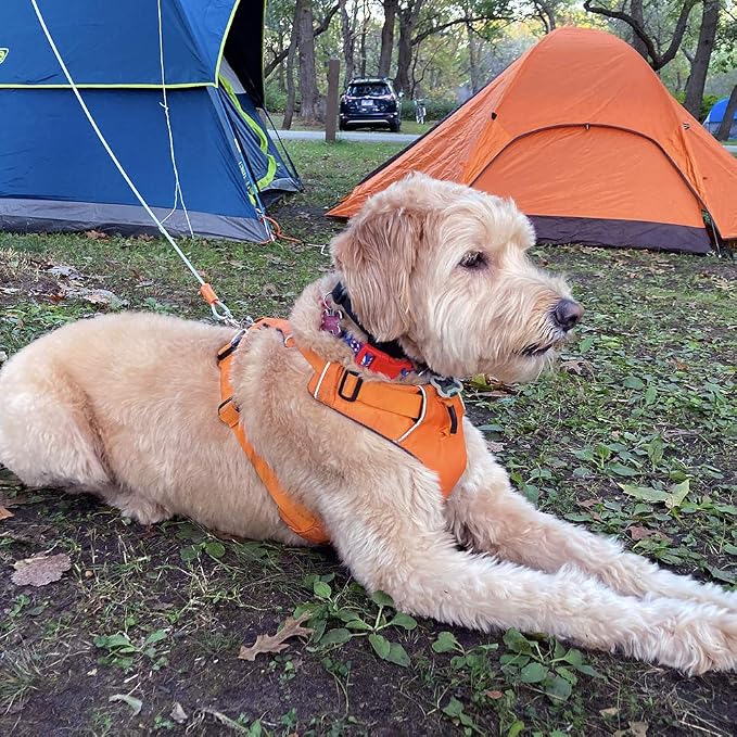 BV Dog Tie Out Cable 25 Feet - Heavy Duty Dog Lead up to 90 Pounds - Reflective & Rust-Free with Quick Release Swivel Clips & 360° Rotating Clasp - Tangle-Free Dogs Runner for Yard (Silver, Single)