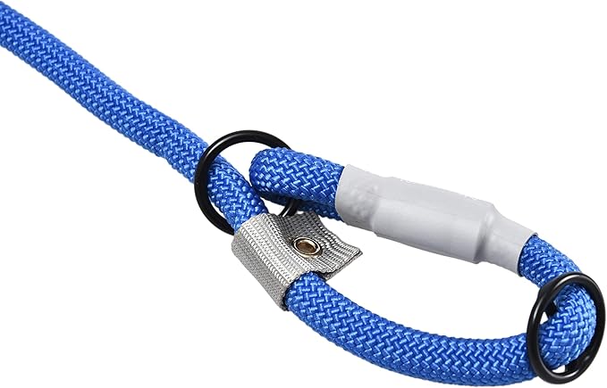 Cesar Millan Slip Lead Leash™ - 2-in-1 Slip Collar Dog Training Lead & Collar | Heavy Duty Durable Weatherproof Rope Leash, No Pull Training | Length 4ft Diameter 4/10”(Regular, Blue)
