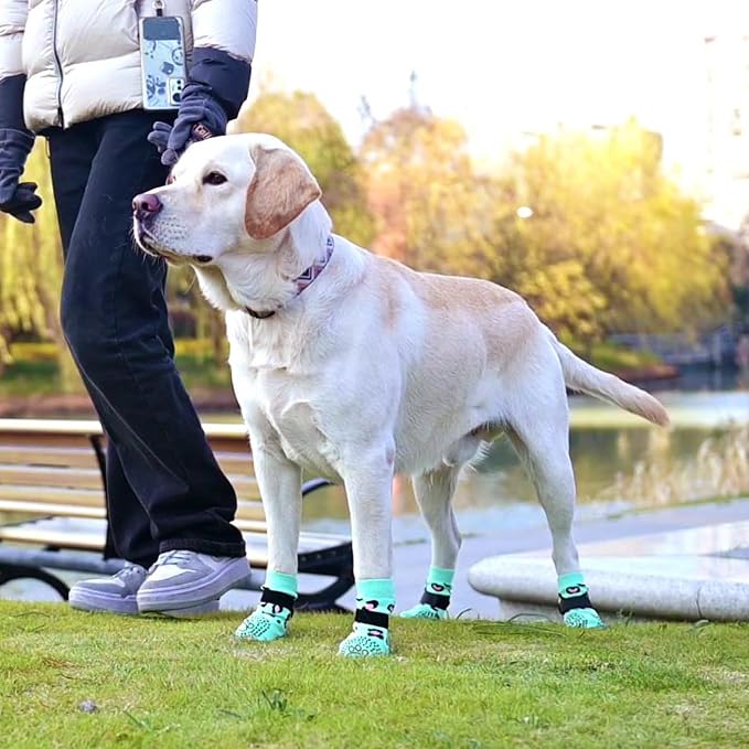 KOOLTAIL Dog Socks for Hot/Cold Pavement to Prevent Licking Paws,Dog Boots&Paw Protector for Hardwood Floors Anti Slip,Traction Control No Twist Grip Booties for Small Medium Large Senior Dogs M