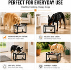 Adjustable Height Elevated Large Dog Water Bowls with Stainless Steel Bowls and Metal Stand，4-Level (8/10/12/14 Inches) Pet Bowl for Dogs for Large Medium Dogs - Durable, Easy to Clean (2.4gallon)