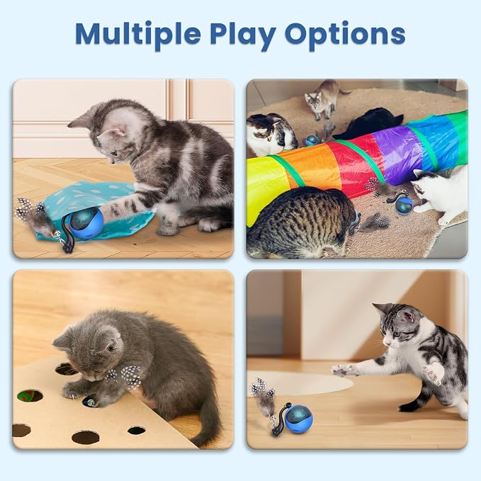 Interactive Cat Toy Ball, Automatic Self-Rolling Cat Toy with Feather Tail, Rechargeable Smart Cat Ball for Indoor Cats