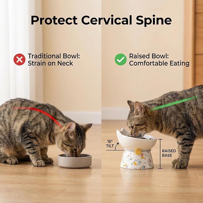 Elevated Ceramic Cat Bowls, 15°Raised Cat Food Bowl, Whisker Friendly Anti Vomiting Cats Dishes, Anti Vomiting & Protect Pet's Spine, Feeder Dish for Indoor Kitty and Small Dogs (Cat Pattern)