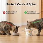 Elevated Ceramic Cat Bowls, 15°Raised Cat Food Bowl, Whisker Friendly Anti Vomiting Cats Dishes, Anti Vomiting & Protect Pet's Spine, Feeder Dish for Indoor Kitty and Small Dogs (Cat Pattern)