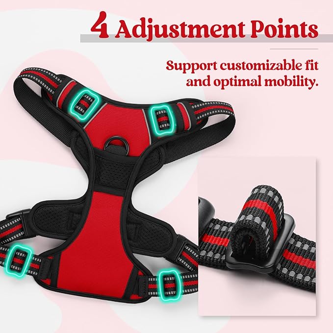 rabbitgoo Dog Harness, No Pull for Small Dogs with 2 Leash Clips, Pet Vest | No Choke with Handle, Adjustable Soft Padded, Reflective, Easy Control for Walking, Red, Small