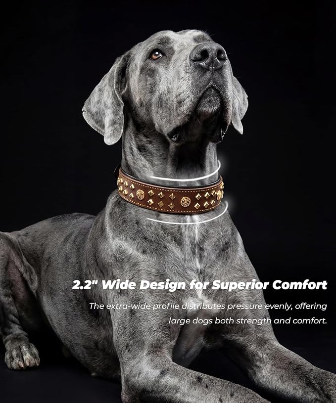 Genuine Leather Dog Collar 2.2 in Wide for Large Dogs Heavy Duty, BN-GD-S | Handcrafted,Stainless Steel Buckle and Alloy Studded,Soft Padded,Fashionable Daily Wear for Large Giant Breed,16.5-20.5 in