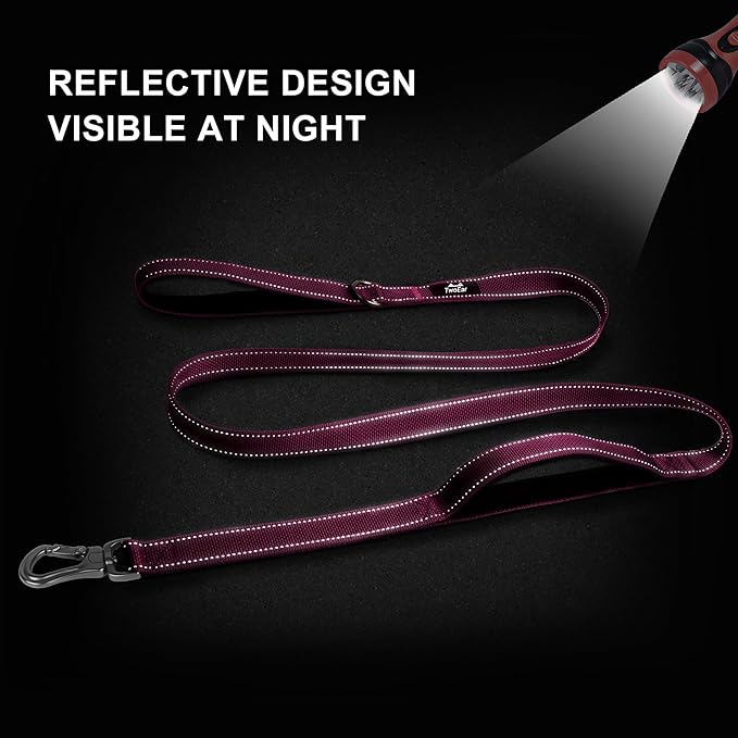 TwoEar 4FT 1IN Strong Rose Dog Leash with 2 Padded Handles, Traffic Handle Extra Control, Comfortable Soft Dual Handle, Auto Lock Hook, Reflective Walking Lead for Small Medium and Large Dogs