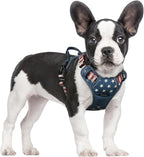 rabbitgoo Dog Harness, No Pull for Small Dogs with 2 Leash Clips, Pet Vest | No Choke with Handle, Adjustable Soft Padded, Reflective, Easy Control for Walking, Blue Star, Small