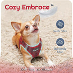 Eagloo Small Dog Harness and Leash Set, Step in Small Sized Puppy Pet Vest | Light, Soft, Breathable Air Mesh, Easy on and off with Hook & Loop, Reflective for Safe Walking, Red, S